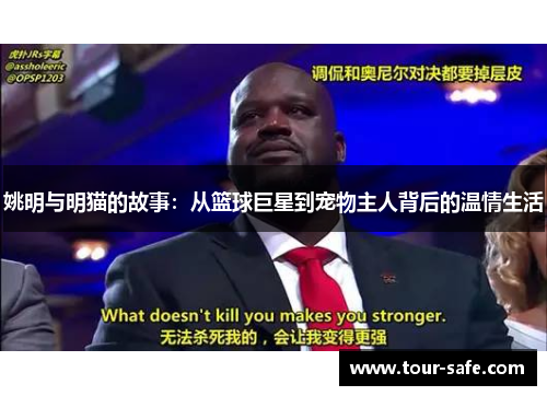 姚明与明猫的故事：从篮球巨星到宠物主人背后的温情生活